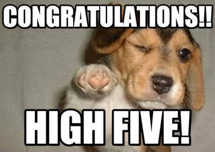 congrats